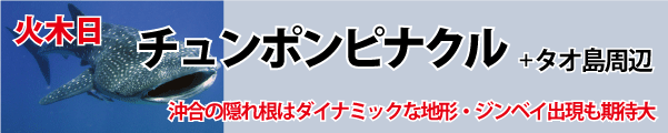 チュンポンピナクル　ファンダイビング