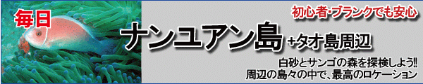 ナンユアン島とタオ島　ファンダイビング