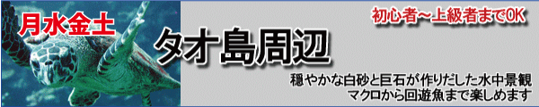 タオ島　ファンダイビング