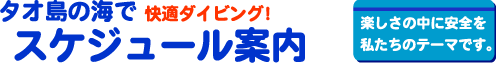 �^�I���_�C�r���O�C���[�W