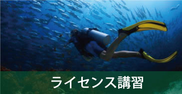 SSIダイビングライセンス取得講習