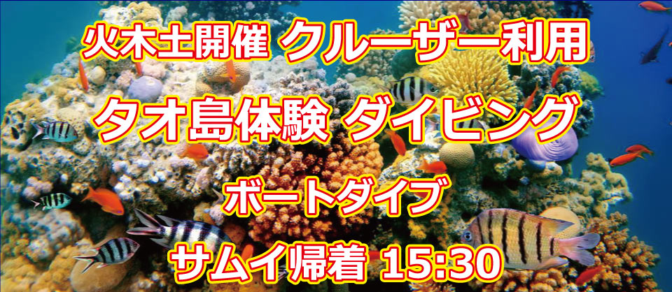 dsd-cruise-top.jpg