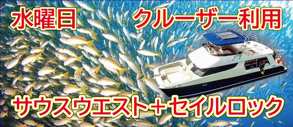 水曜日催行クルーザー利用サウスウエストピナクルとセイルロック2ダイブ