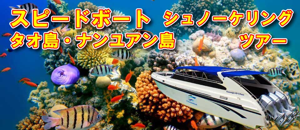 sn-slider-speedboat-02.jpg