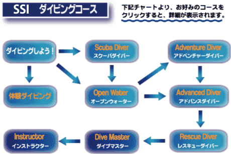 PADI ライセンス取得コース　イメージ10