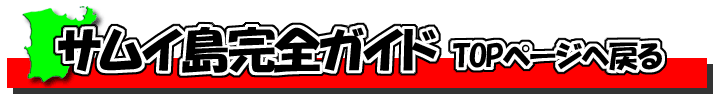 �T���C���K�C�h TOP��