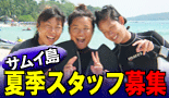 �T���C���X�X�^�b�t��W