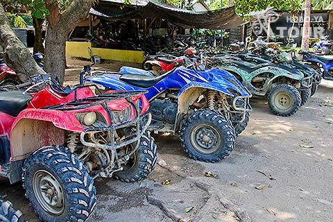 ATV �o�C�N�^�T���C�� ATV �I�t���[�h�c�A�[